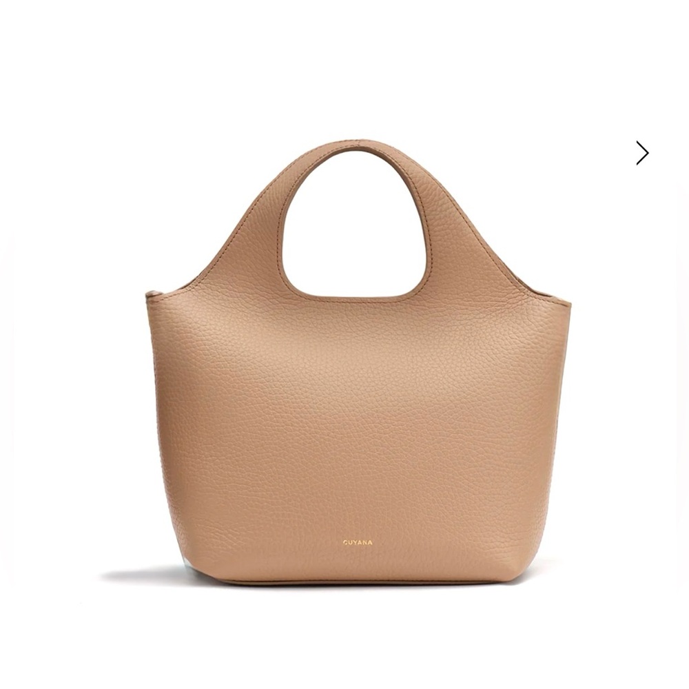 Cuyana Mini System Tote in Cappuccino [LIKE NEW]